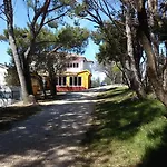Ante 3*