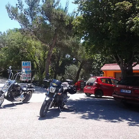 Ante 3*