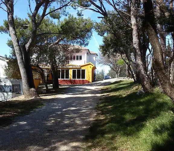 Ante 3*
