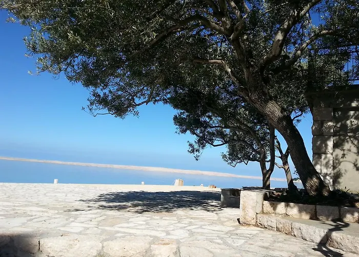 Ante Maison d'hôtes Tribanj-Kruscica